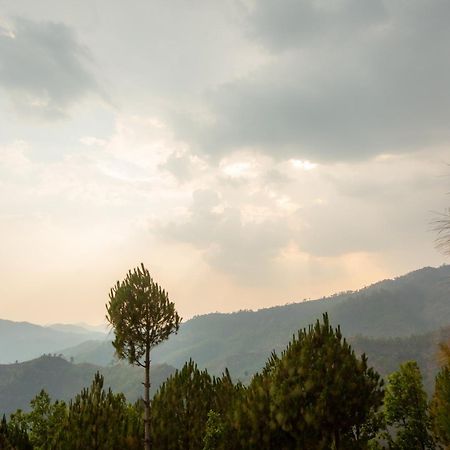 Blue Pine Orchards - Villas Lansdowne Dış mekan fotoğraf