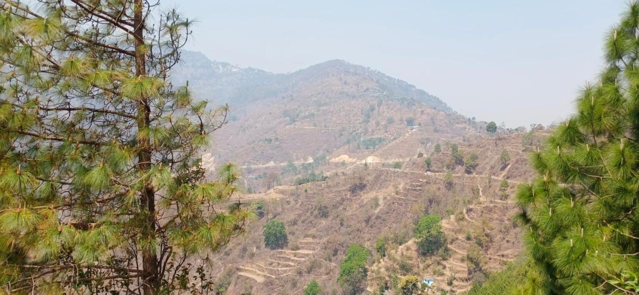 Blue Pine Orchards - Villas Lansdowne Dış mekan fotoğraf