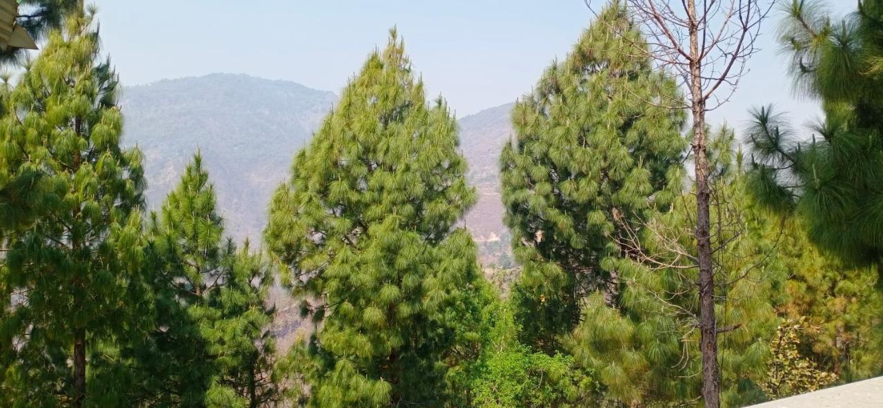Blue Pine Orchards - Villas Lansdowne Dış mekan fotoğraf