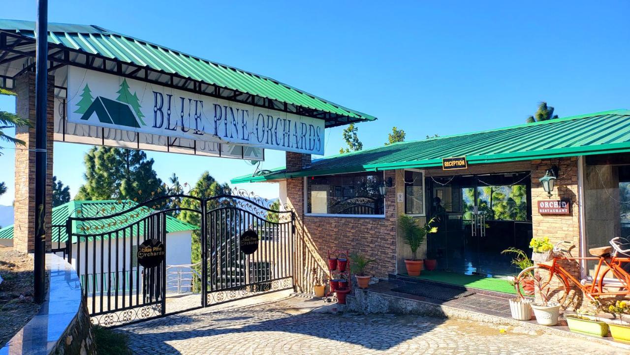 Blue Pine Orchards - Villas Lansdowne Dış mekan fotoğraf